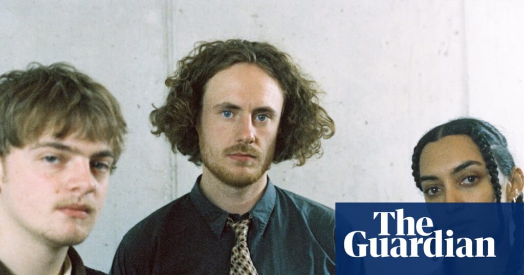 Add to playlist: jazz harp progressives Flur and the week’s best new tracks | Music