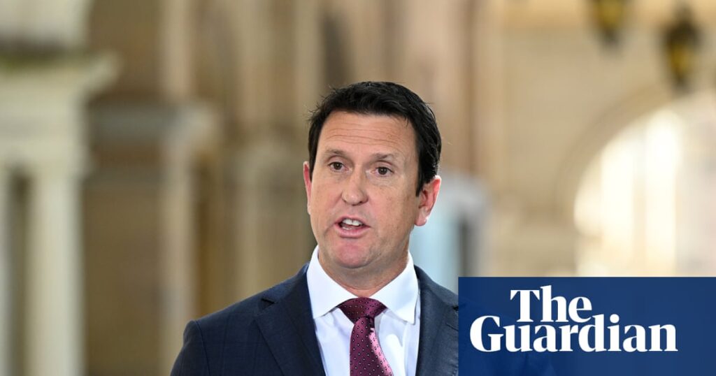 Controversial domestic violence laws pass Queensland parliament as experts warn they could be weaponised against victims | Queensland politics