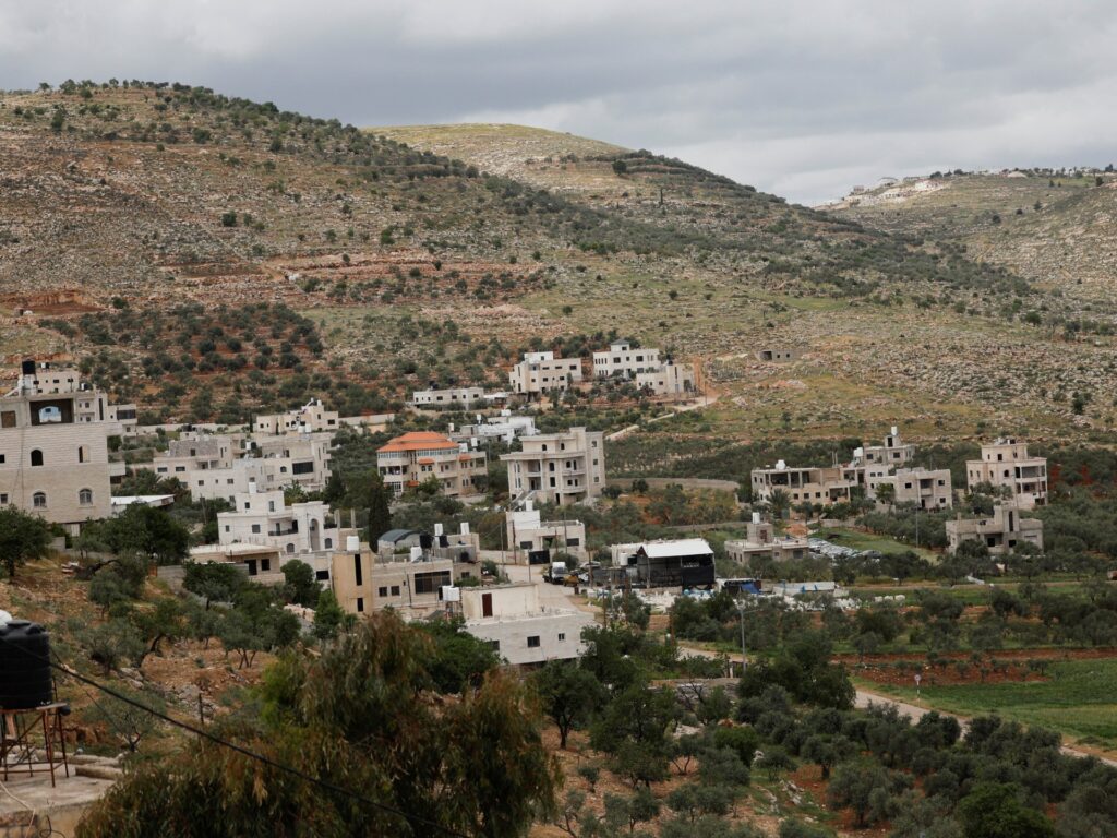 Israeli military uproots thousands of Palestinian olive trees in West Bank | Israel-Palestine conflict News