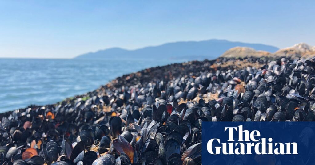 Monkeys falling from trees and baking barnacles: how heat is driving animals to extinction | Global development