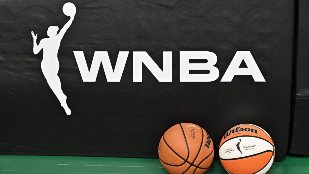 Ohio man charged for WNBA sex-toy throwing at Liberty game