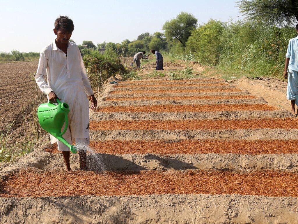 Pakistan’s farmers battle floods, debt and climate-driven crisis | Agriculture News