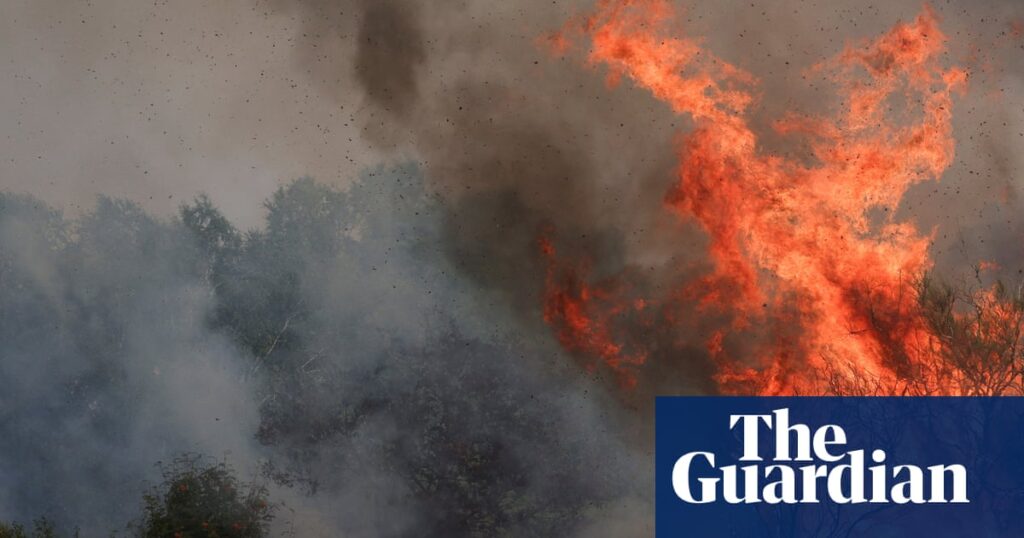 Spain wildfires are ‘clear warning’ of climate emergency, minister says | Spain
