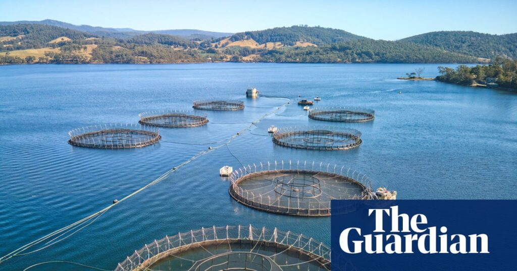 Tasmanian salmon farming expansion on hold as state Liberals order review ahead of parliament showdown | Tasmanian politics