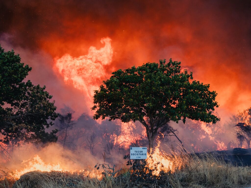 Wildfires rage across Spain and Portugal as record area of land burned | Climate News