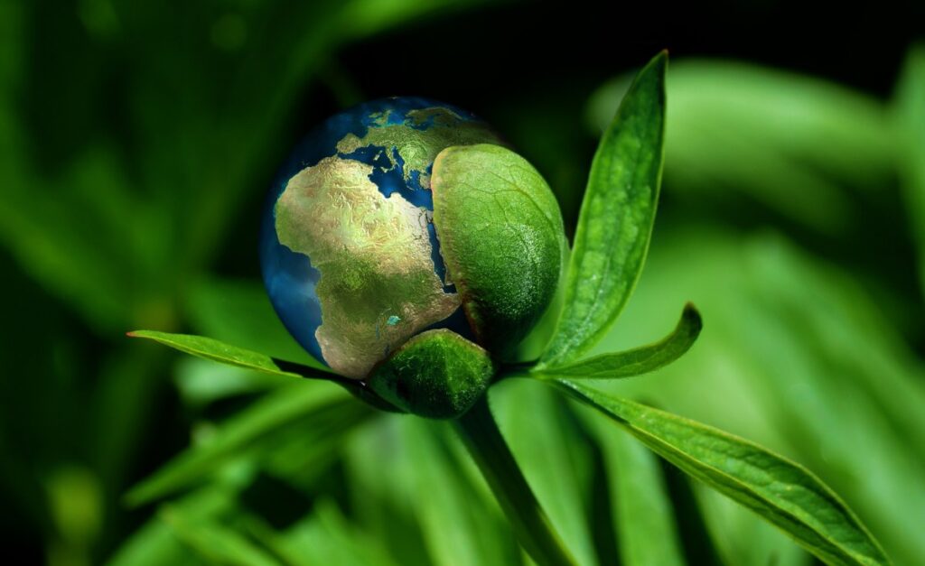 Africa Doesn't Need More Climate Pledges. It Needs Capital.