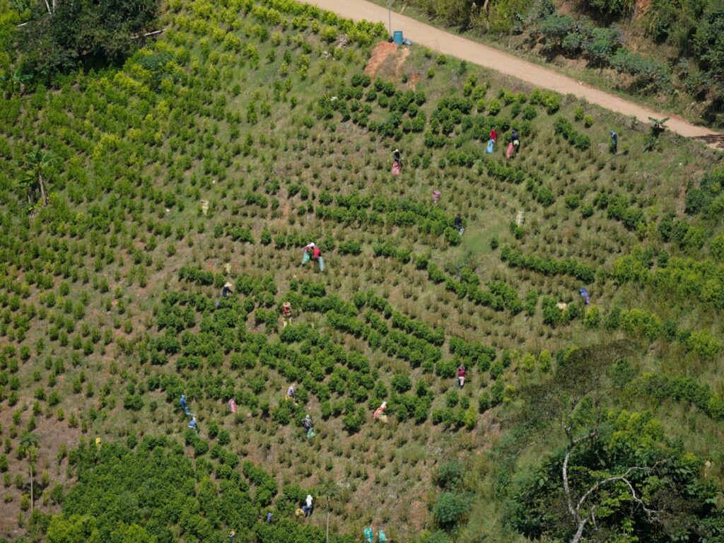 Colombian military rescues 27 abducted soldiers, dozens remain captive | Armed Groups News