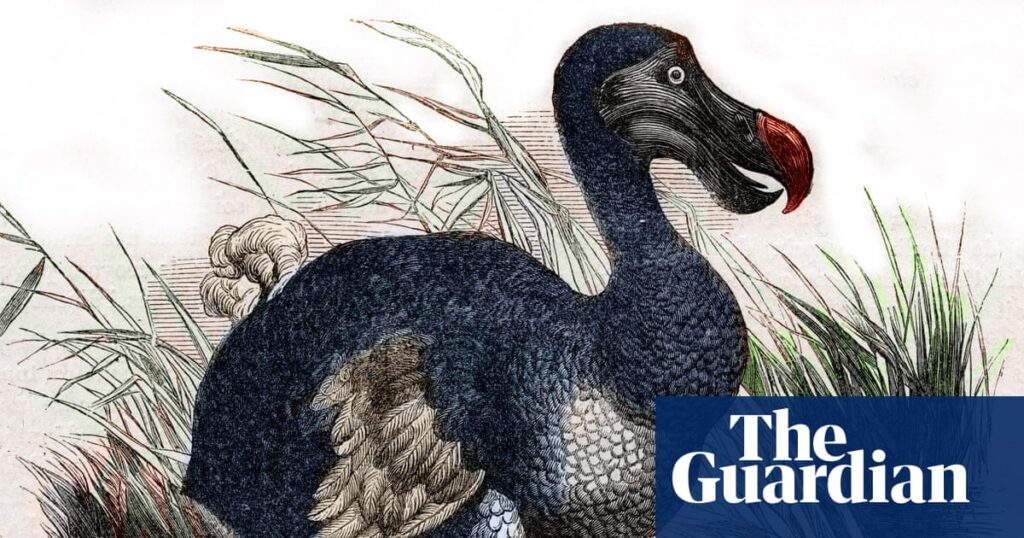 Dodo birds could roam again, claim scientists, as they report pigeon gene-editing advance | Science