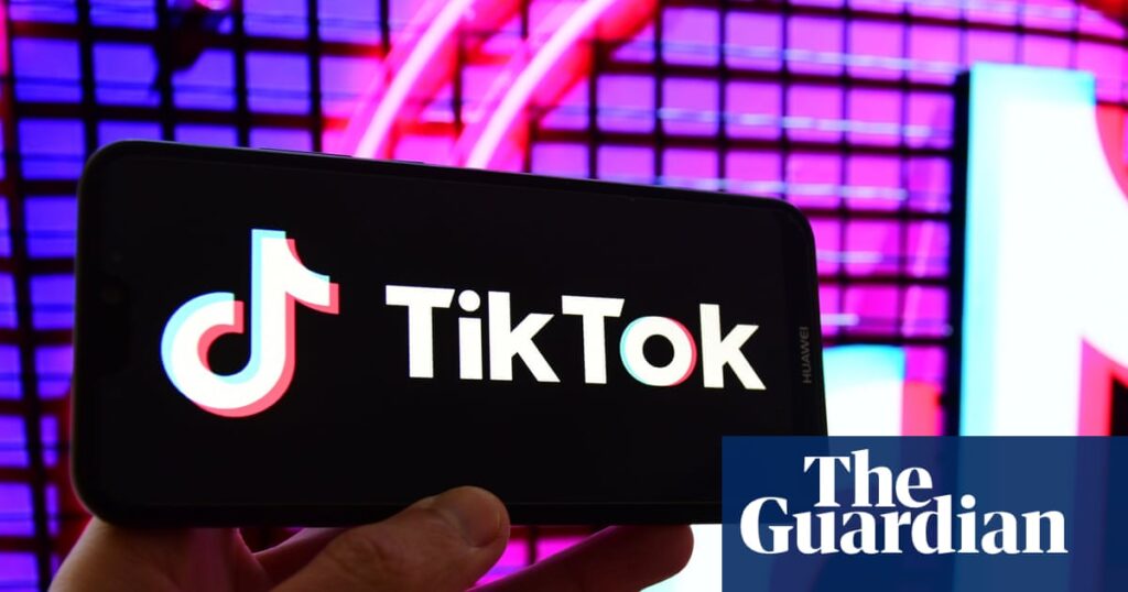French lawmaker calls for criminal inquiry into TikTok’s effect on children | France