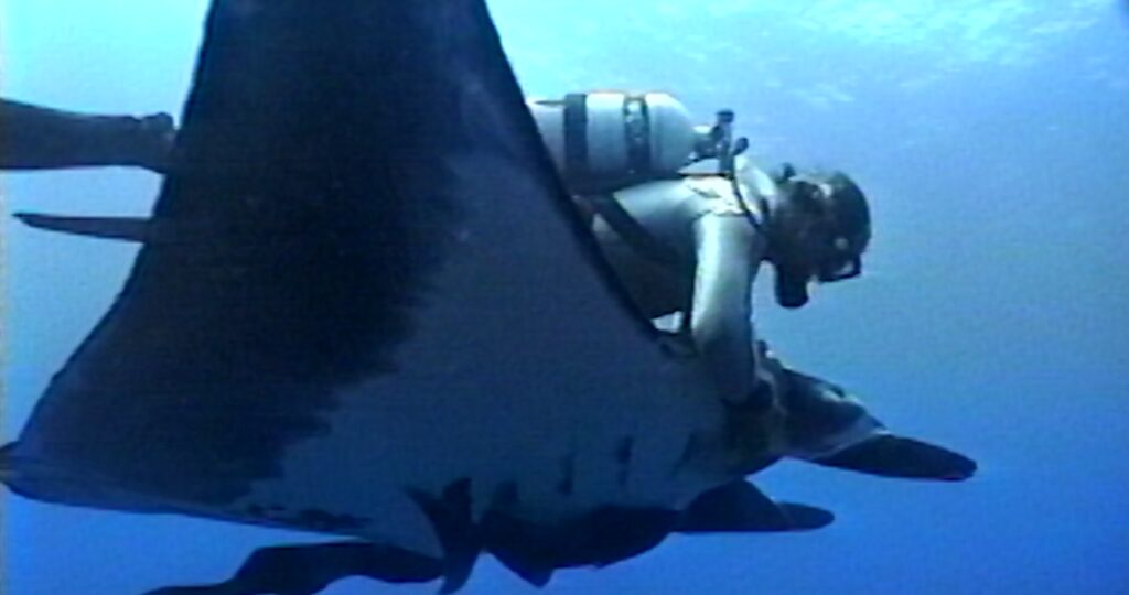 'The Last Dive' Director Talks Manta Rays