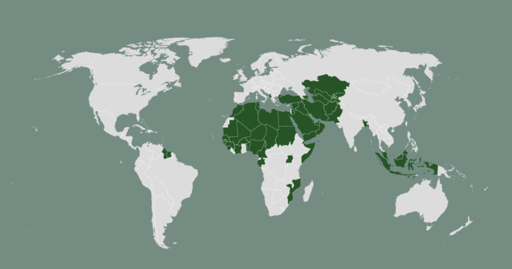 Who are the 57 members of the Organisation of Islamic Cooperation? | Israel-Palestine conflict News