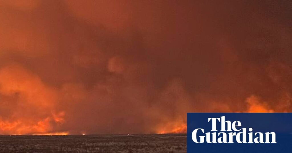 Wildfire in Namibia is contained, says PM, after criticism of response | Namibia