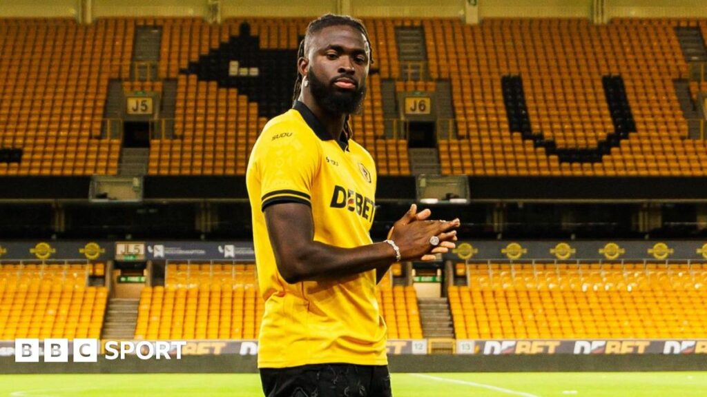 Tolu Arokodare posing on the side of the Molineux pitch