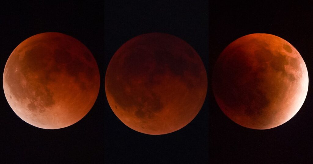‘Blood moon’ rises during total lunar eclipse | Gallery News