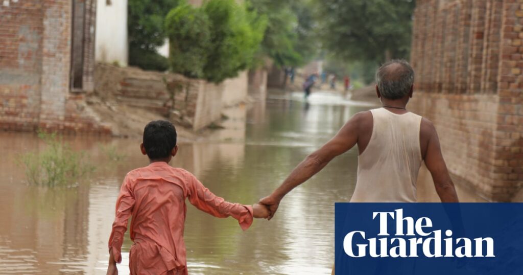 ‘Everything is gone’: Punjabi farmers suffer worst floods in three decades | India