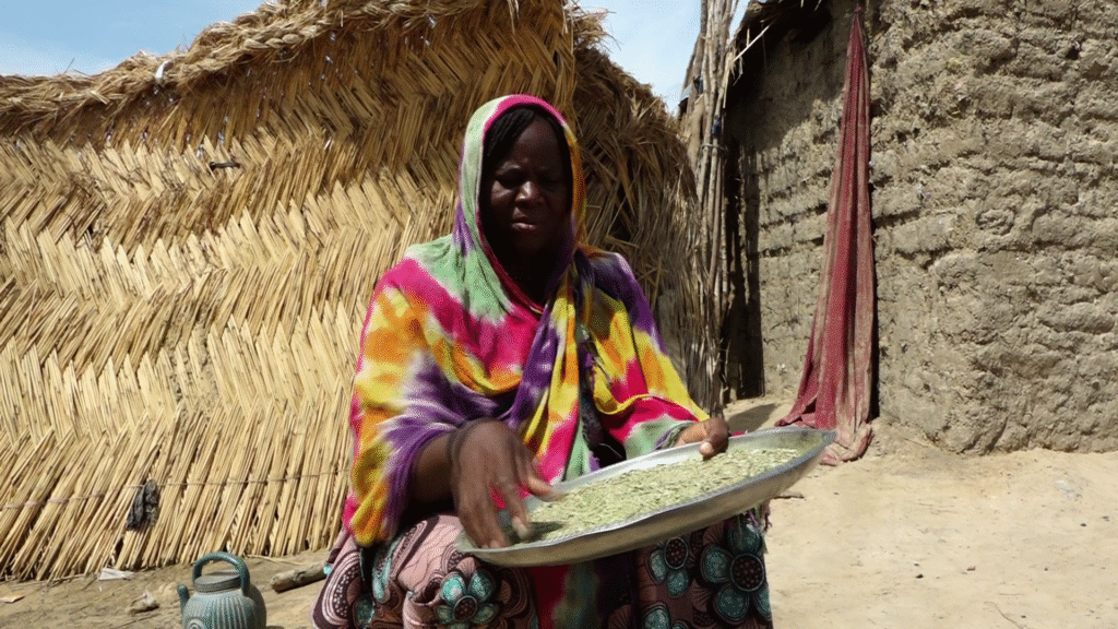 ‘We will stay’: Displaced Nigerians fear Boko Haram, stay in closing camps | Boko Haram News