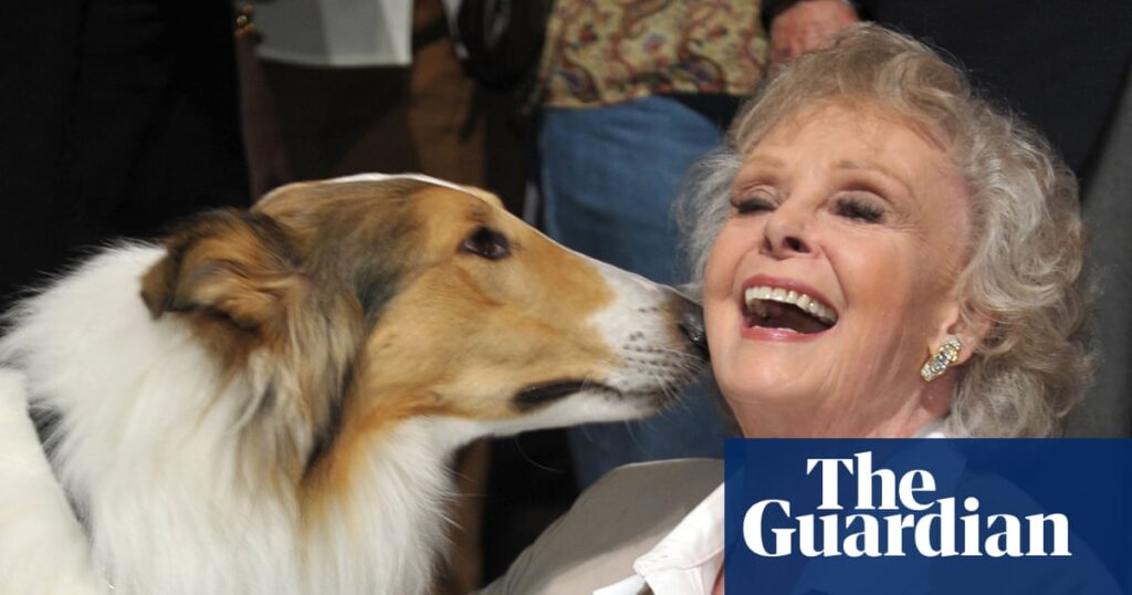 Actor June Lockhart of Lost in Space and Lassie fame dies aged 100 | Television Actor June Lockhart of Lost in Space and Lassie fame dies aged 100 | Television