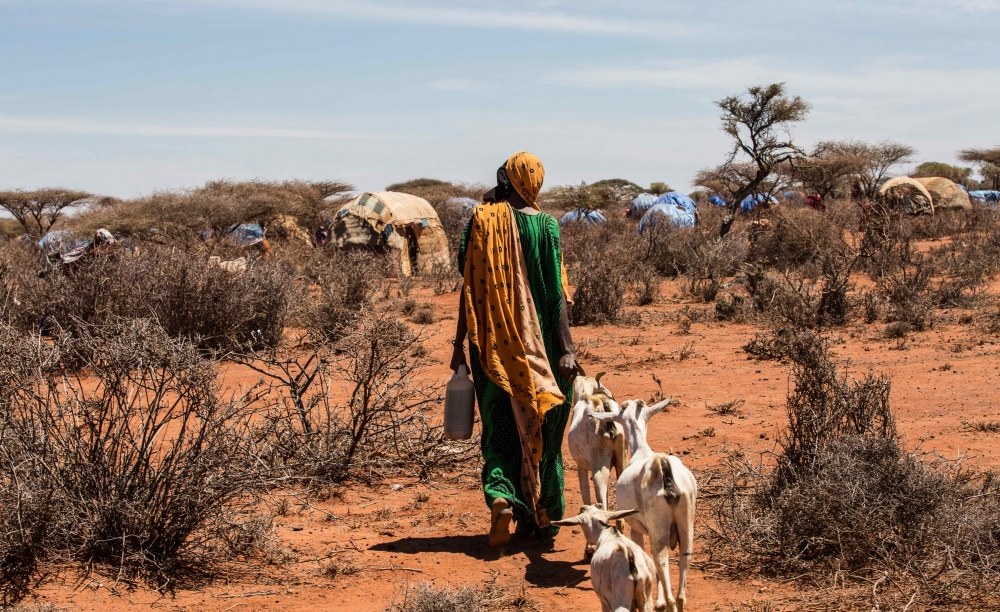 Africa: Climate Change is Fueling Africa’s Next Health Crises, ‘One Health’ is the Answer Africa: Climate Change is Fueling Africa's Next Health Crises, 'One Health' is the Answer