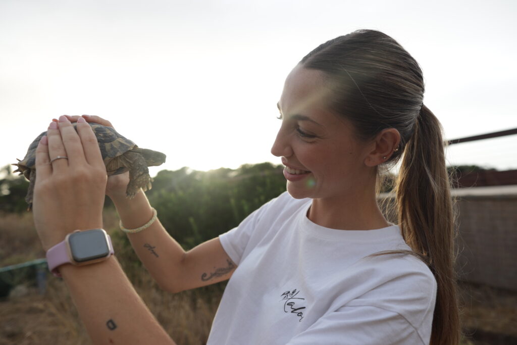 After the Floods: Saving Spain’s Turtles | Documentary After the Floods: Saving Spain’s Turtles | Documentary