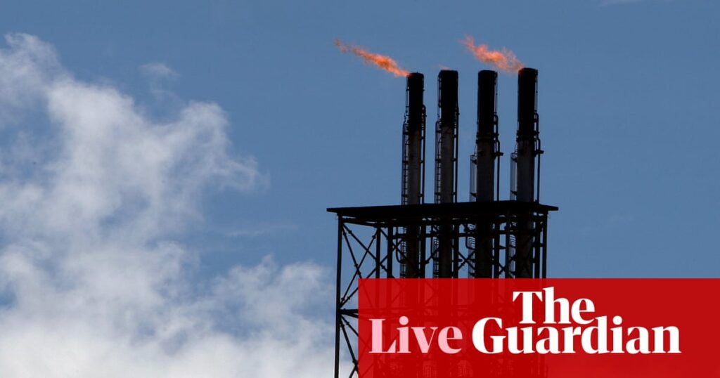 Australia politics live: east coast gas reservation ‘totally on the table’, Madeleine King says | Australia news