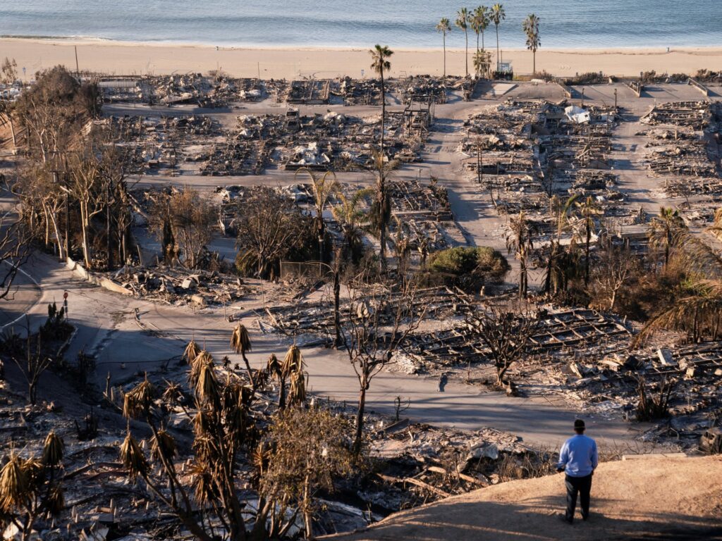 Authorities charge man accused of starting deadly LA wildfire | Wildlife News