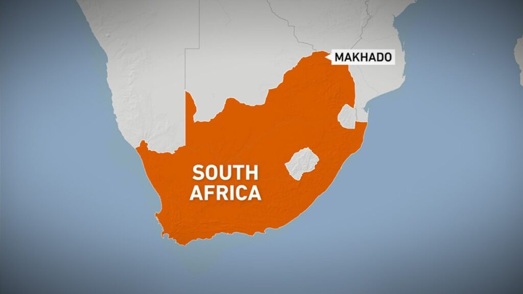 Bus crash in South African mountains kills at least 42 | Transport News