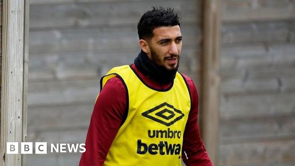 Ex West Ham footballer fined for owning dangerous dogs Ex West Ham footballer fined for owning dangerous dogs