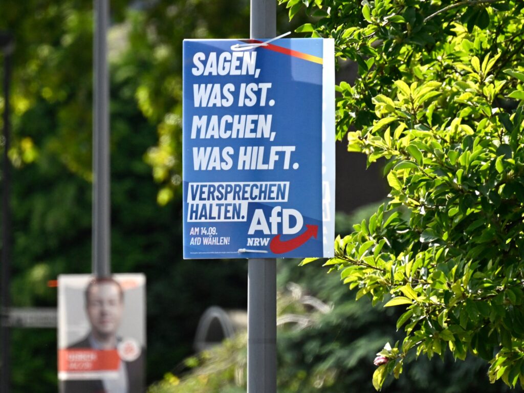 Far-right AfD party may win first German city mayor post in run-off vote | Elections News