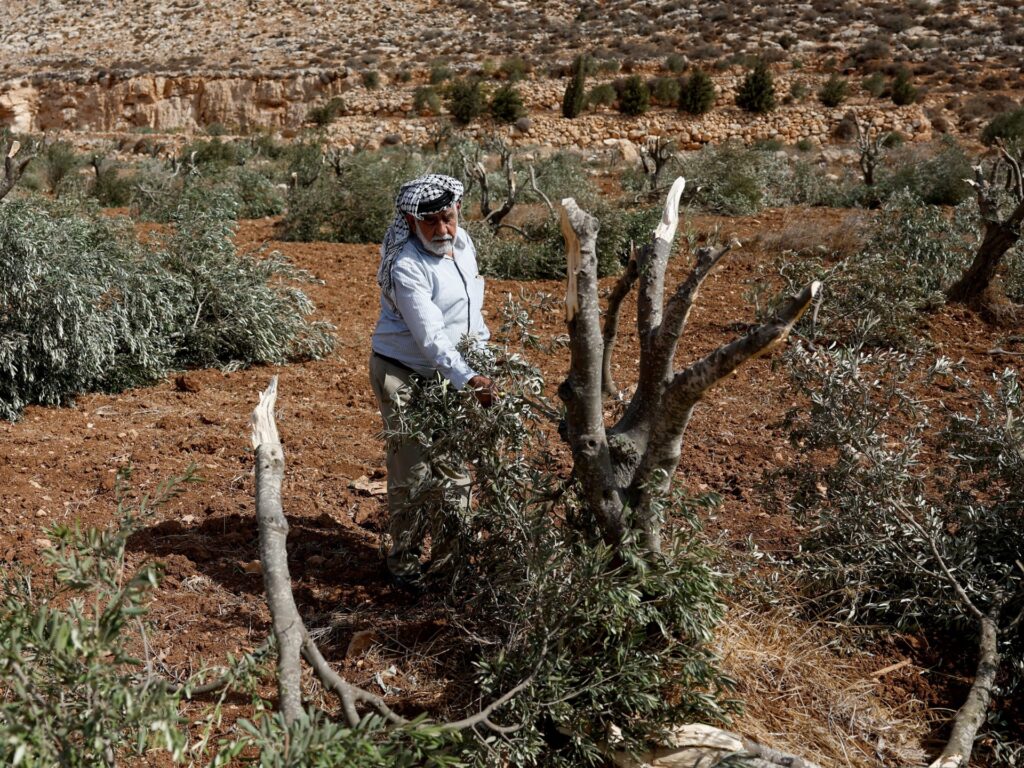 In the occupied West Bank, the war continues | Israel-Palestine conflict