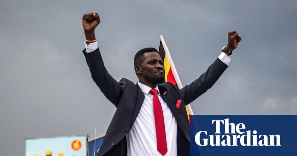 Kenyan activists abducted after joining opposition rally in Uganda | Uganda