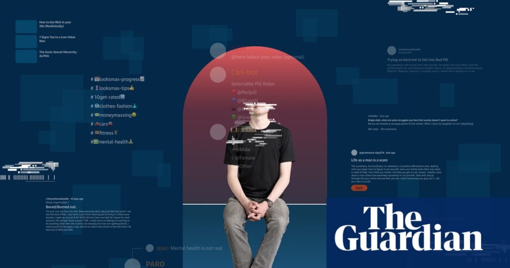 Money, muscles and anxiety: why the manosphere clicked with young men – a visual deep dive