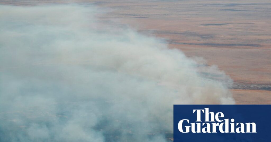 Namibia footage shows wildfire devastation in Etosha natural park – video | Namibia