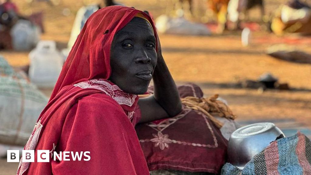 Reports of mass killings in el-Fasher in Darfur have echoes of country’s dark past Reports of mass killings in el-Fasher in Darfur have echoes of country's dark past