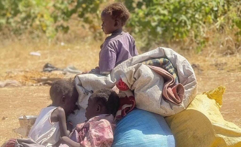 Sudan: El Fasher Hospital Patients 'Collectively Eliminated' As Thousands Flee North Darfur Capital