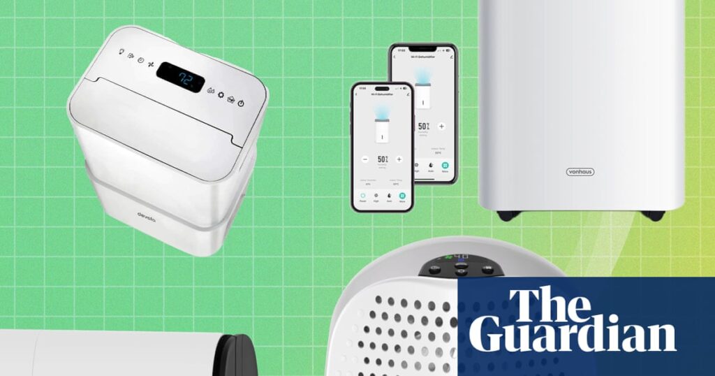 The best dehumidifiers: 14 favourites to beat damp and cut bills, tested | Life and style