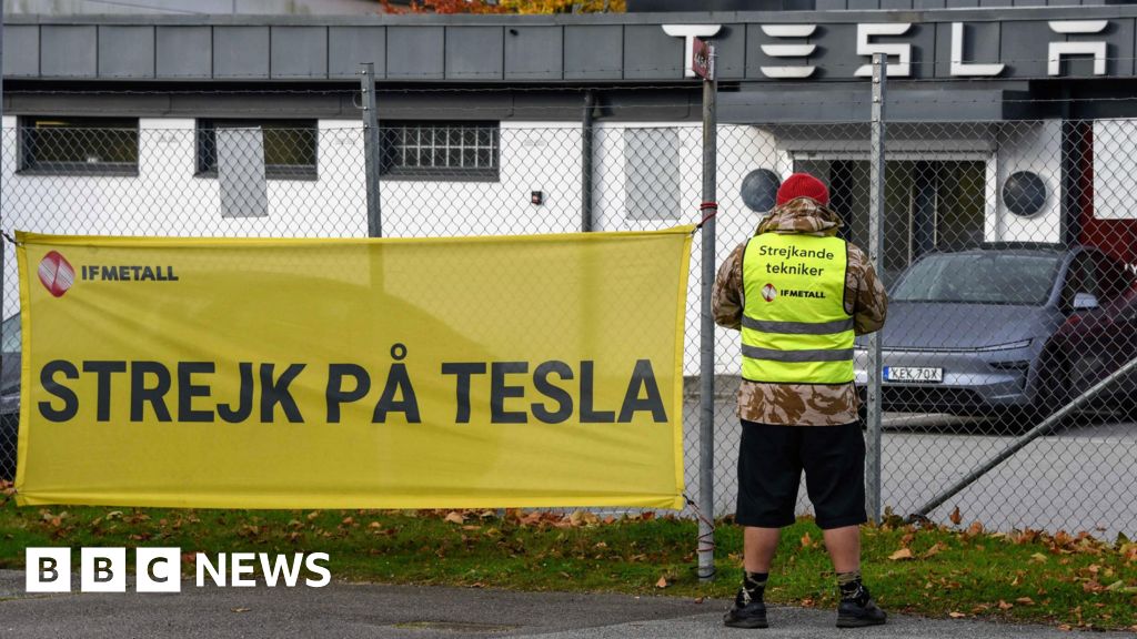 The striking Swedish workers taking on carmaker Tesla The striking Swedish workers taking on carmaker Tesla