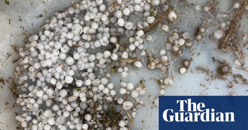 Thousands without power in Queensland as Victoria experiences ‘terrifying’ winds after year’s wettest day | Australia weather Thousands without power in Queensland as Victoria experiences ‘terrifying’ winds after year’s wettest day | Australia weather