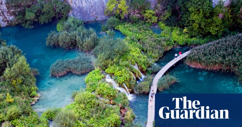 Tour operator Intrepid drops carbon offsets and emissions targets | Travel & leisure