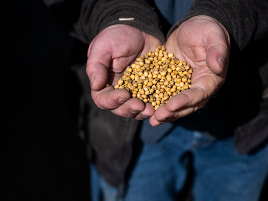 US soya bean farmers battered by trade dispute with China | Trade War News