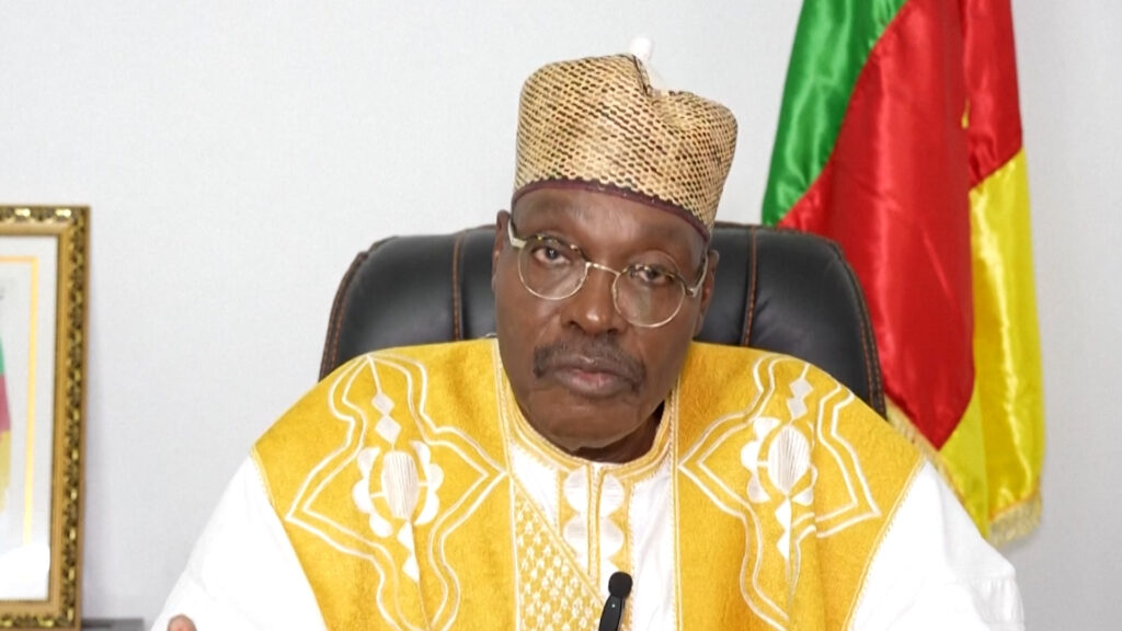 Video: Opposition candidate declares victory in Cameroon election | Elections
