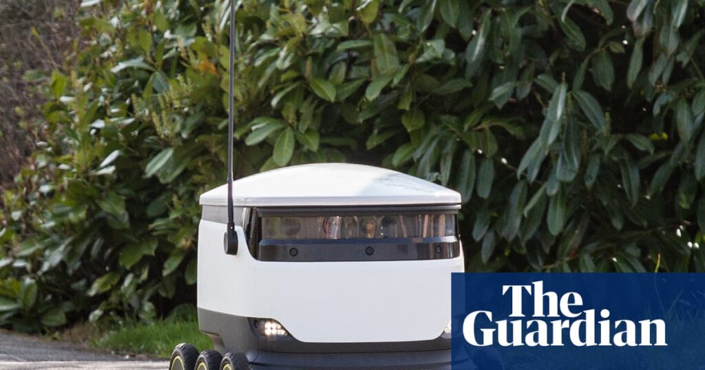 ‘Delivery robots will happen’: Skype co-founder on his fast-growing venture Starship | Retail industry