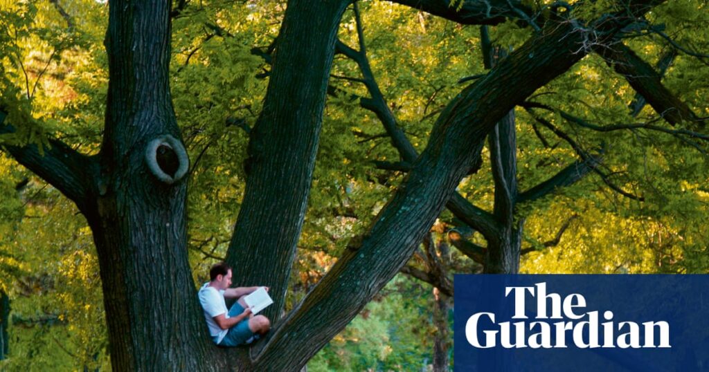 ‘Visual medicine’: Jamel Shabazz’s evocative photos of Brooklyn’s Prospect Park | Photography